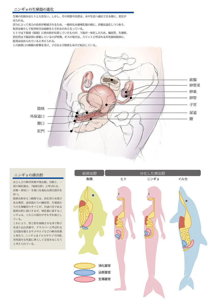 ビッチマーメイド 01-22 30ページ