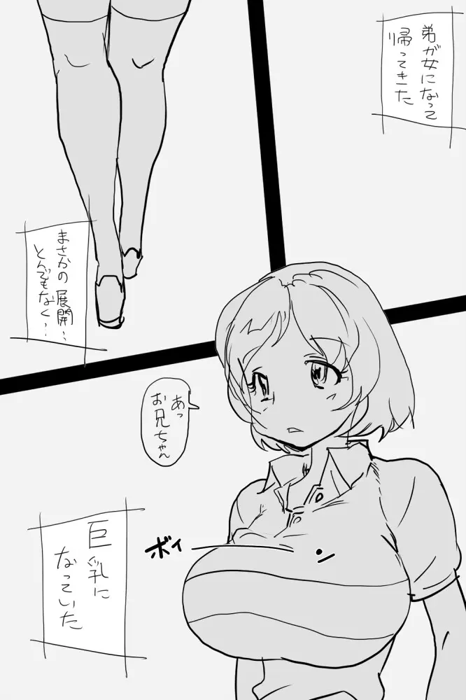 ONK : 女体になった巨乳の弟を犯しちゃうお話し。 2ページ