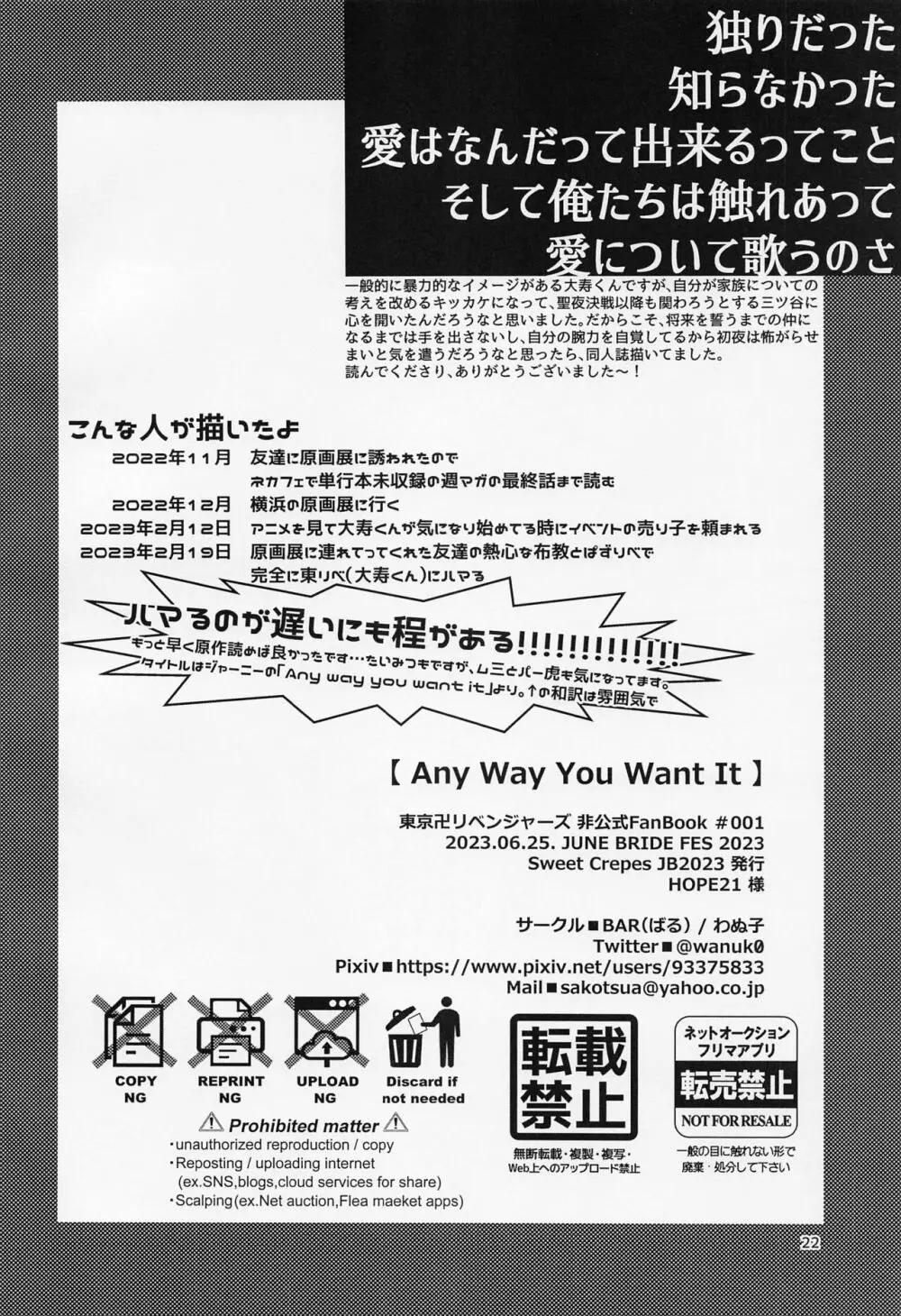 Any way you want it 21ページ