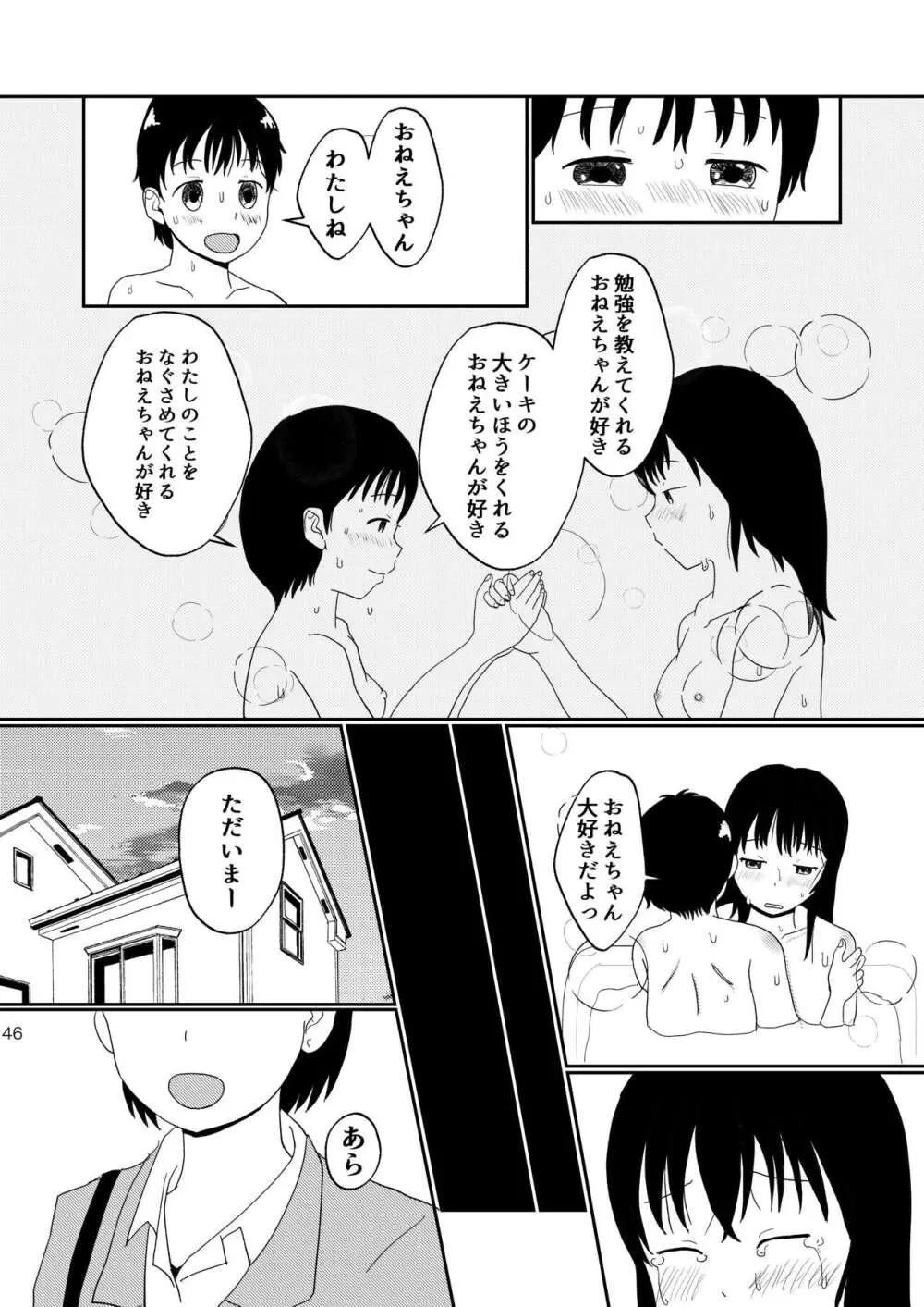 レモンダイアリー 45ページ