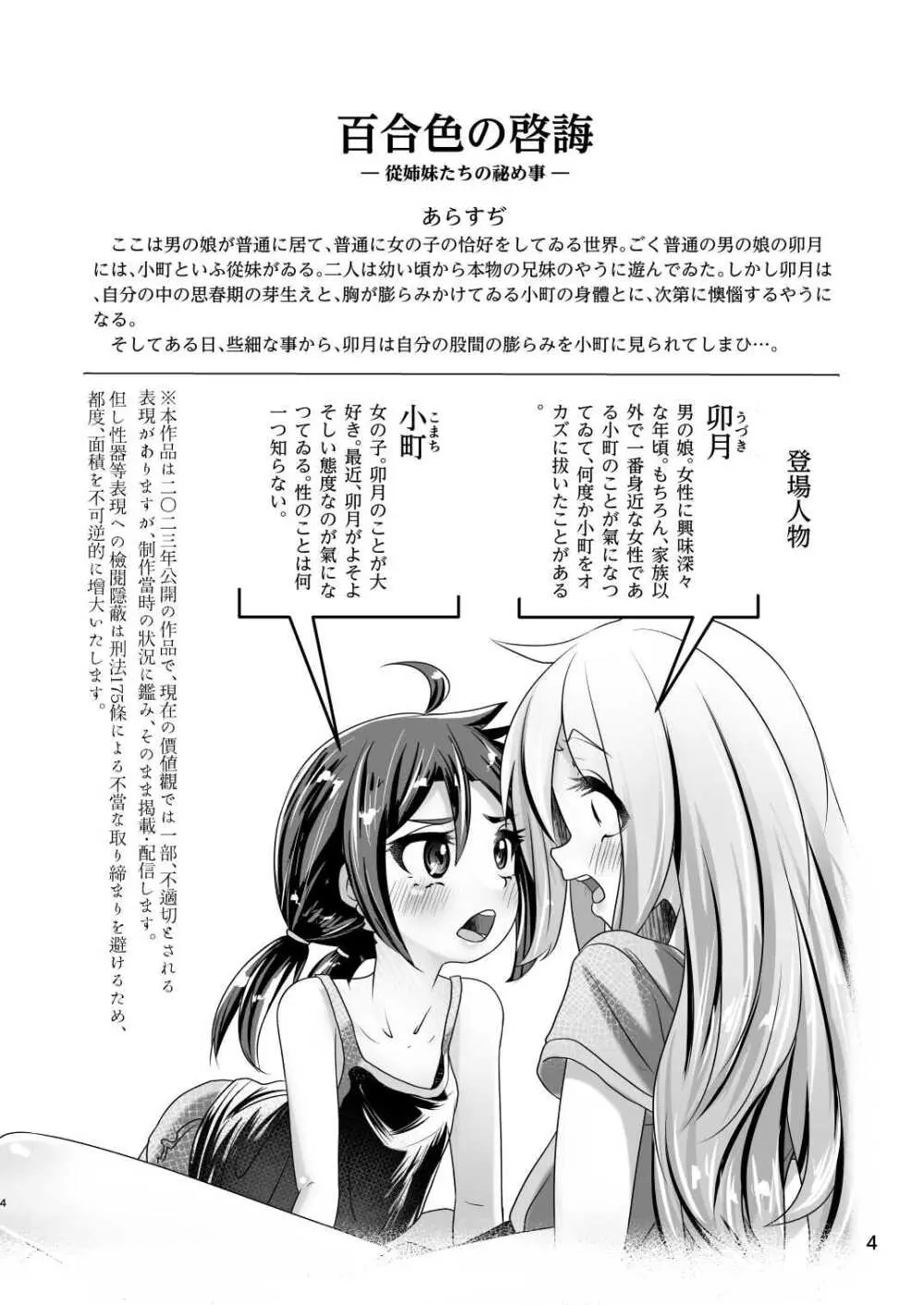 イトコのヒメゴト ――エッチしたい男の娘と エッチを知らない女の子の 初めてのエッチ―― 4ページ