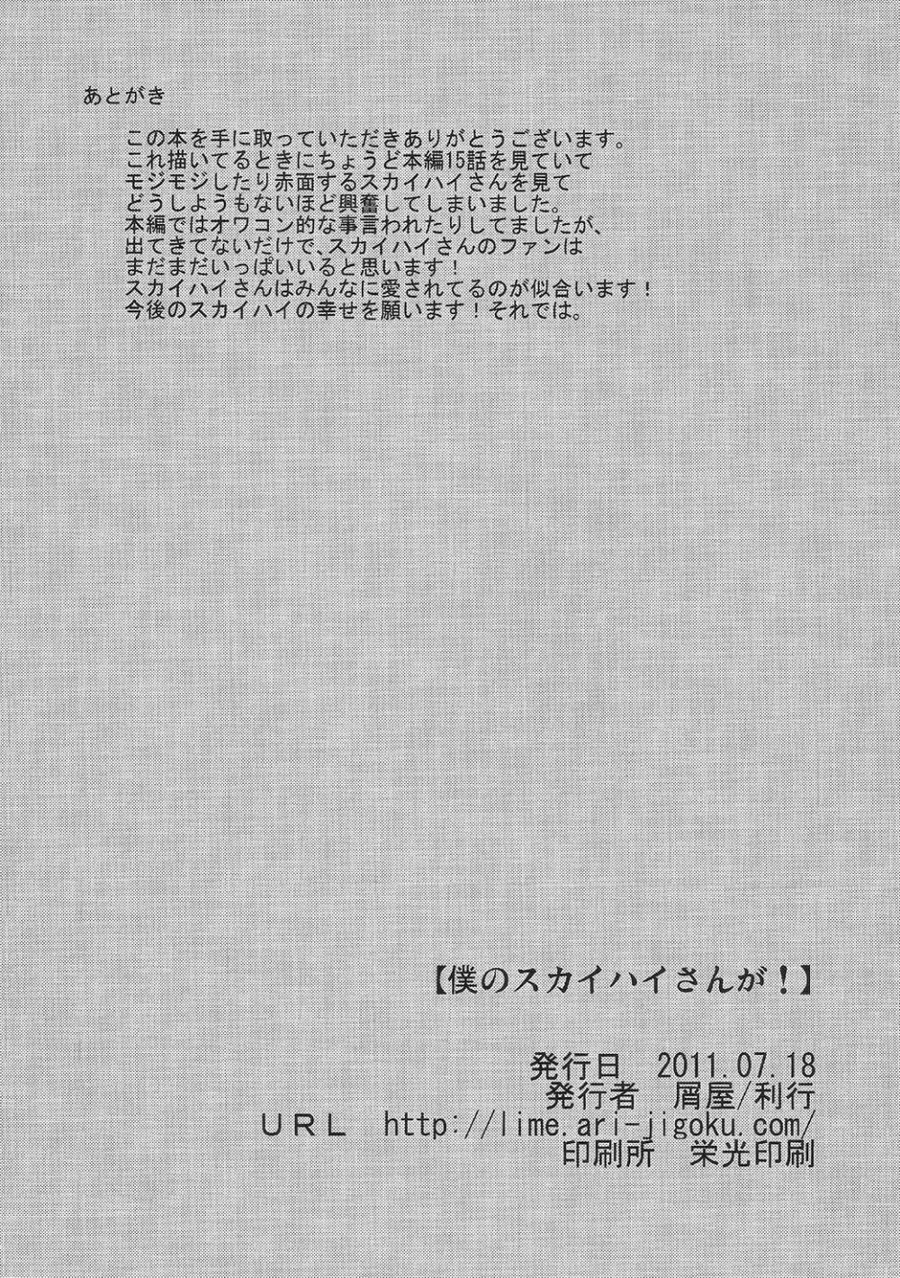 僕のスカイハイさんが! 17ページ