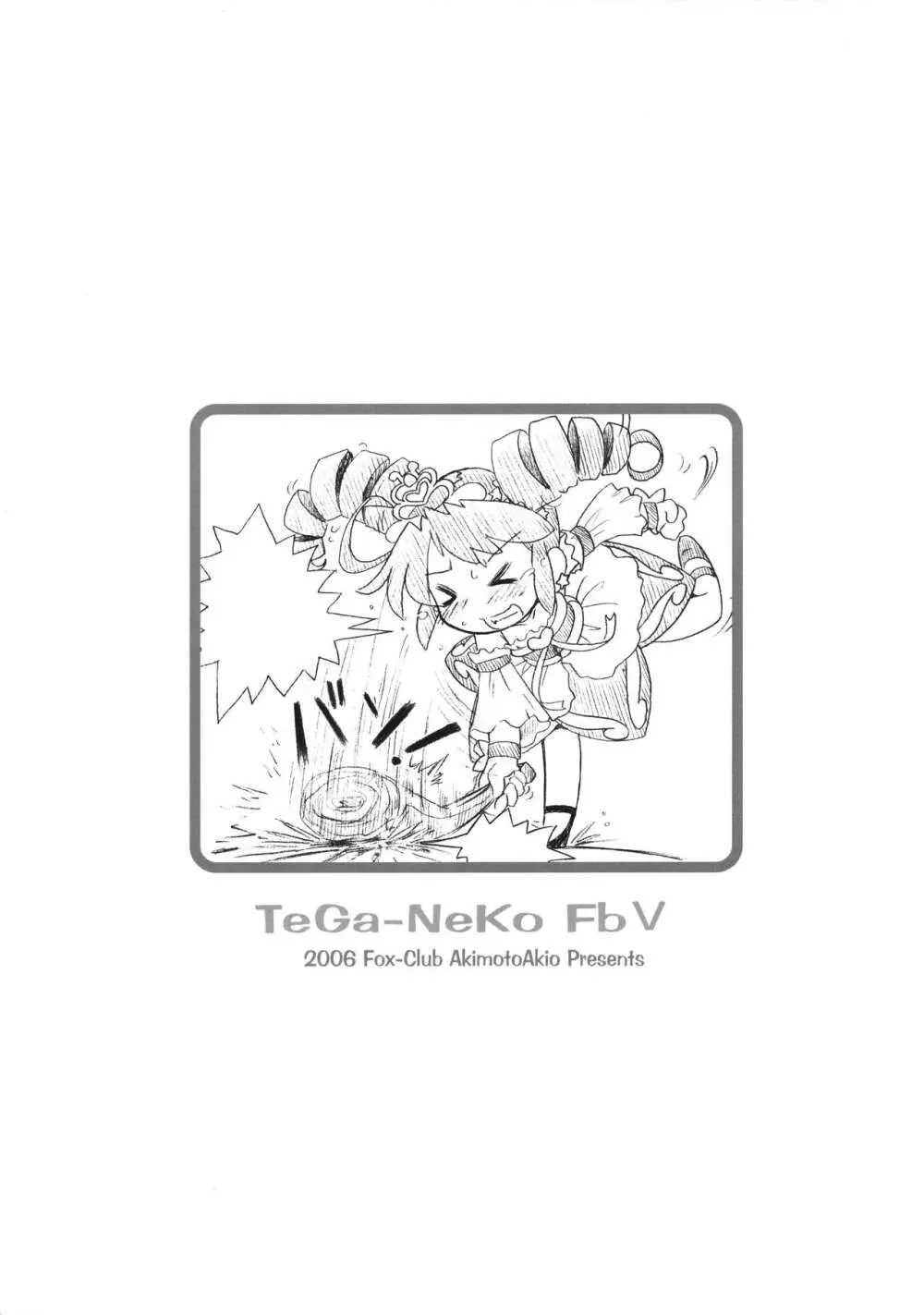 TeGa-NeKo Fb 12ページ