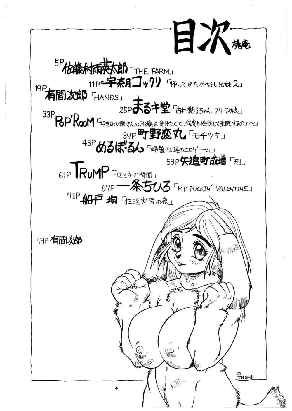 桃庵 vol.3 4ページ