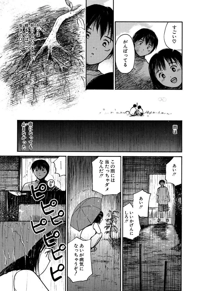 [田中ユタカ] 愛人 [AI-REN] 特別愛蔵版 上 [デジタル版] 284ページ