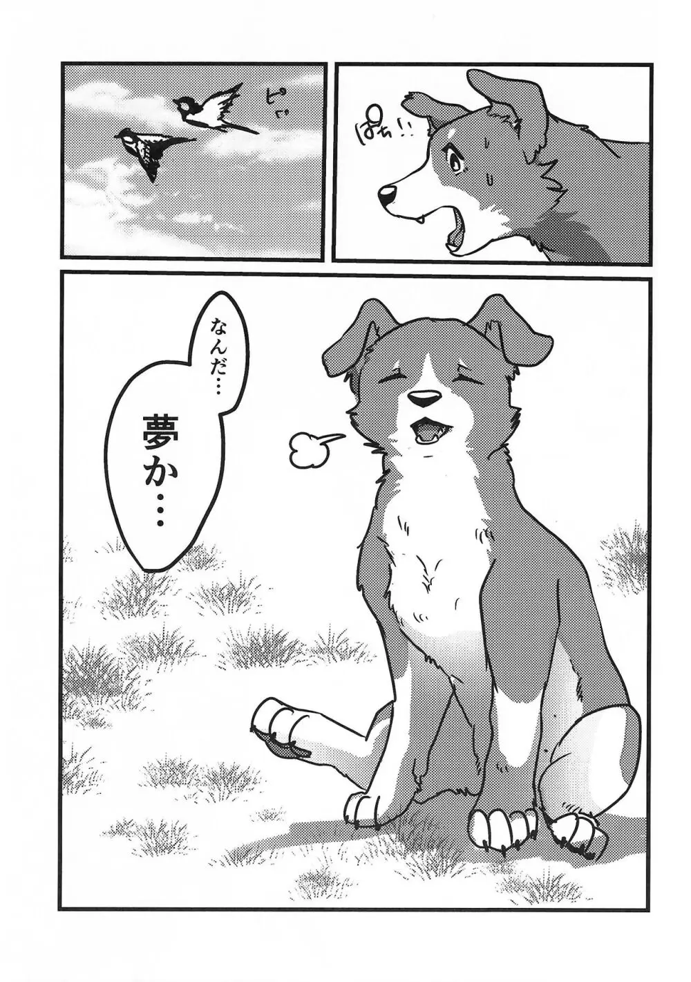 DOG.IN.CAGE コーンじゅういちばい 10ページ