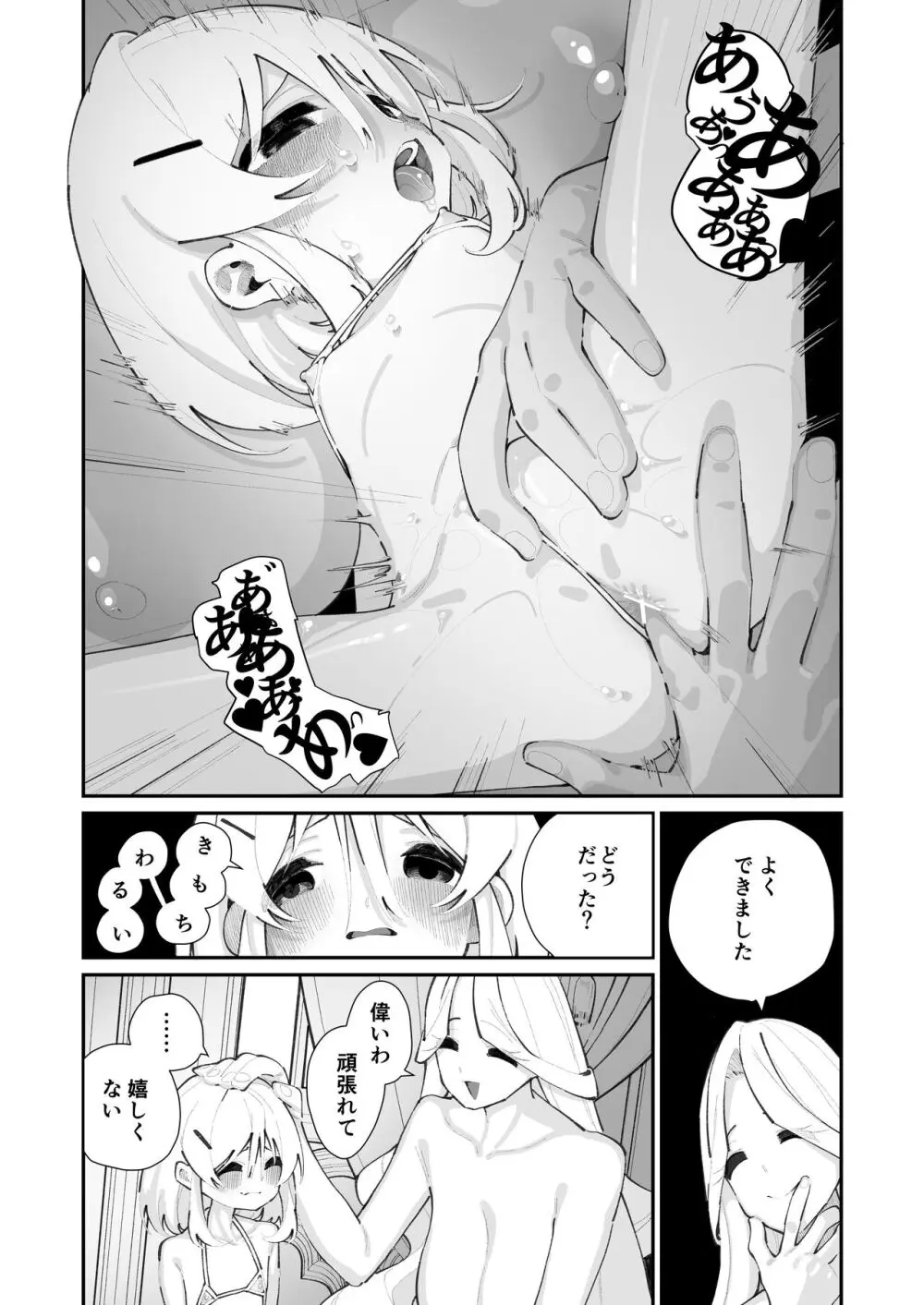 特別振興法人「百合叡智会」 29ページ