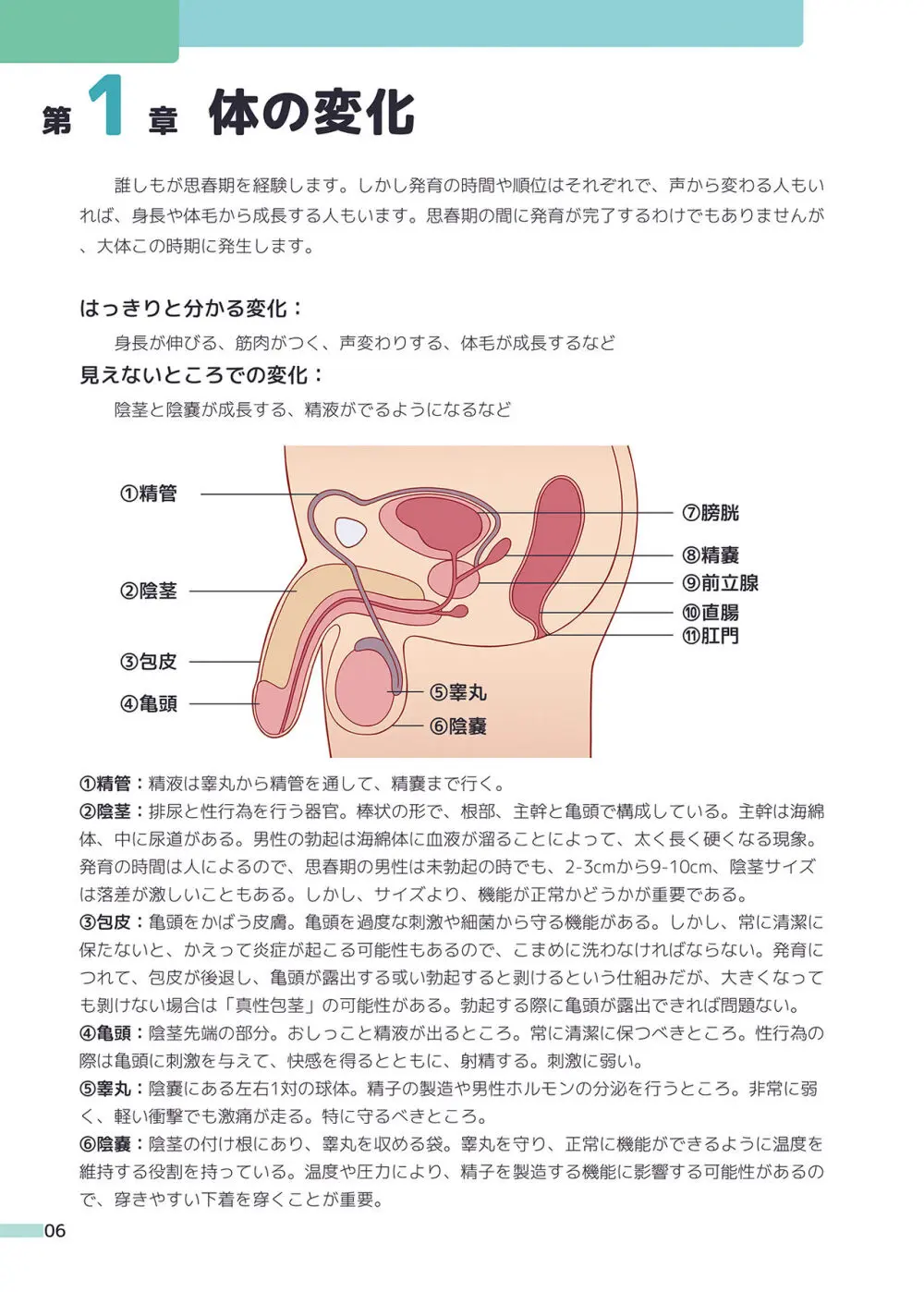 楽しく学ぶ男の子の保健体育 6ページ