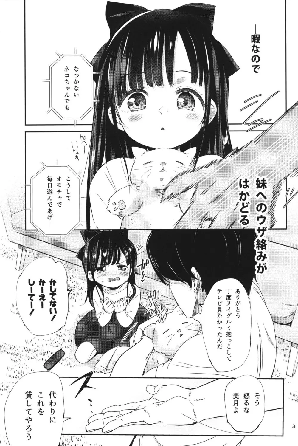 兄の手も借りたい 3ページ