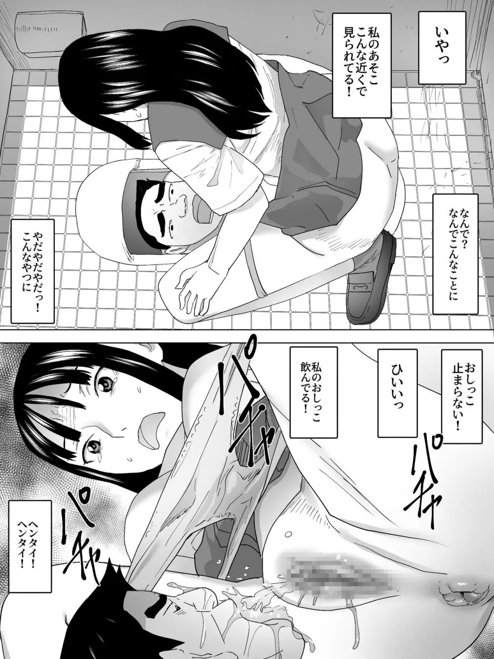 のぞき公認女子便所 17ページ