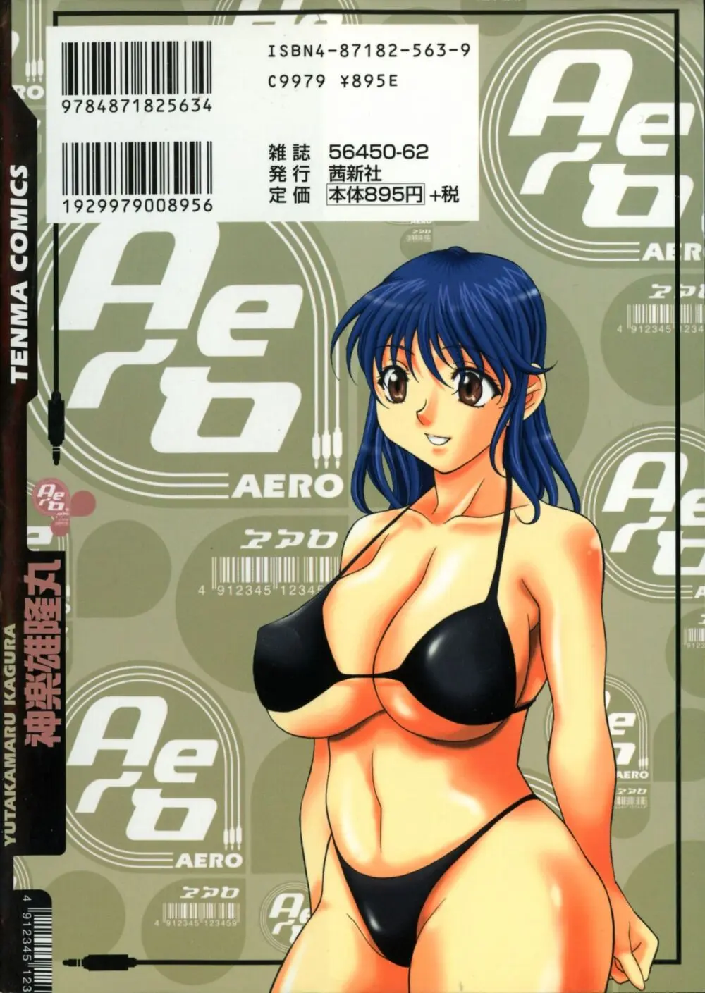 Aero 2ページ