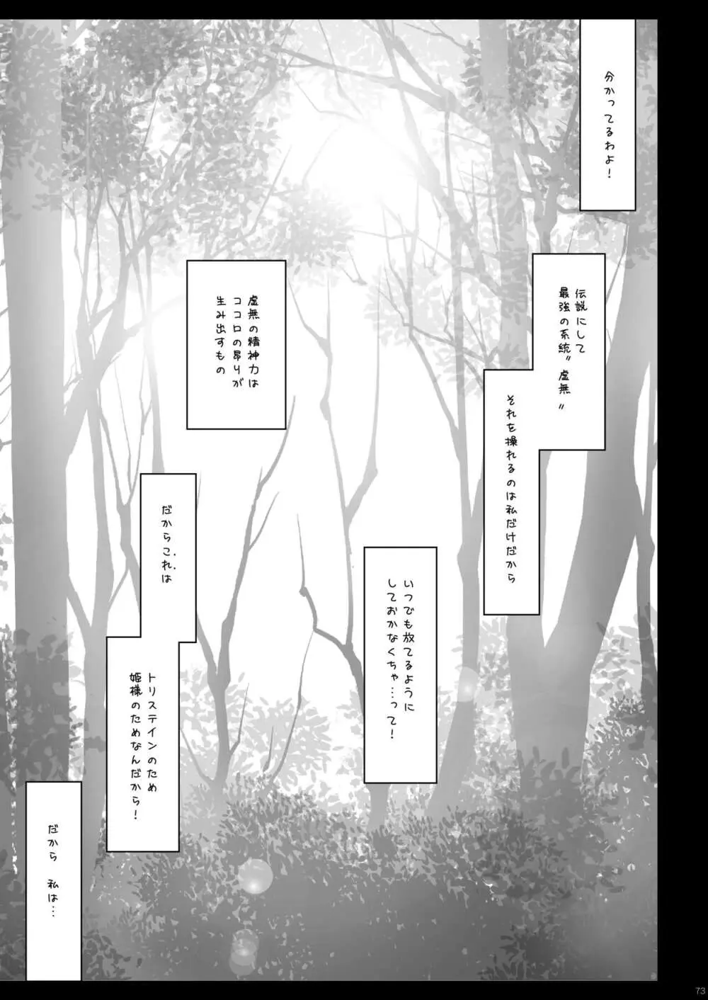 ゼロの使い魔 総集編 73ページ