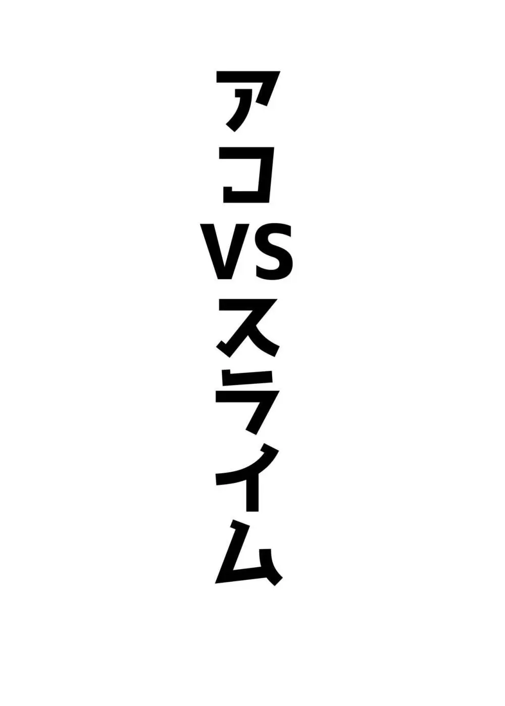 アコパイVS 23ページ