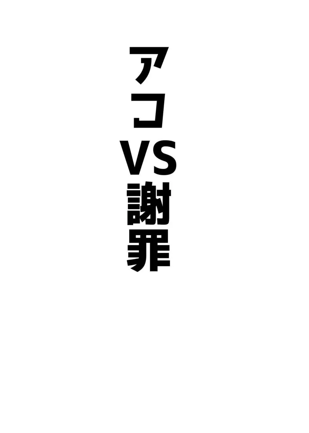 アコパイVS 8ページ