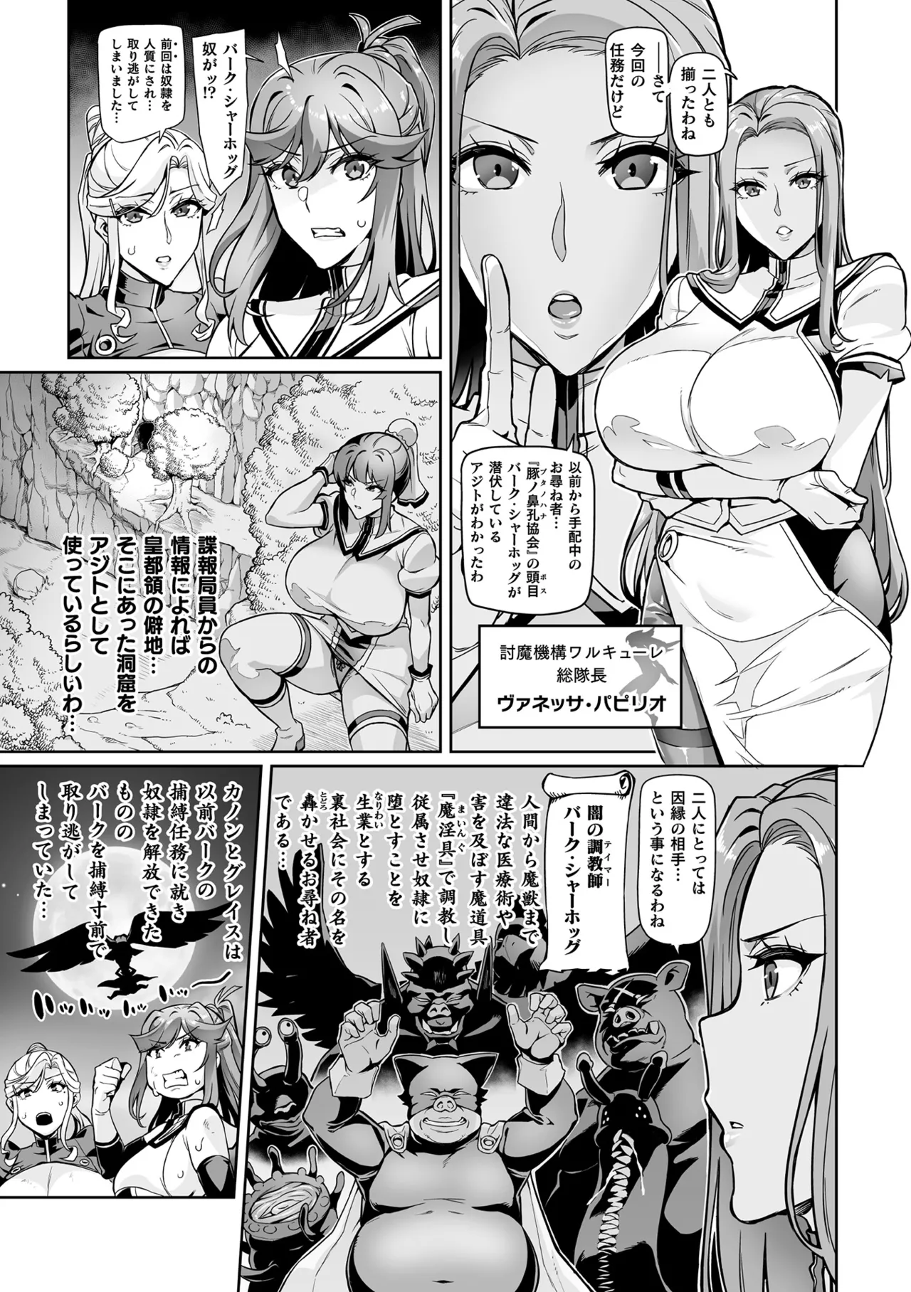 戦姫調教 ヴァルキリーテイマー 3ページ