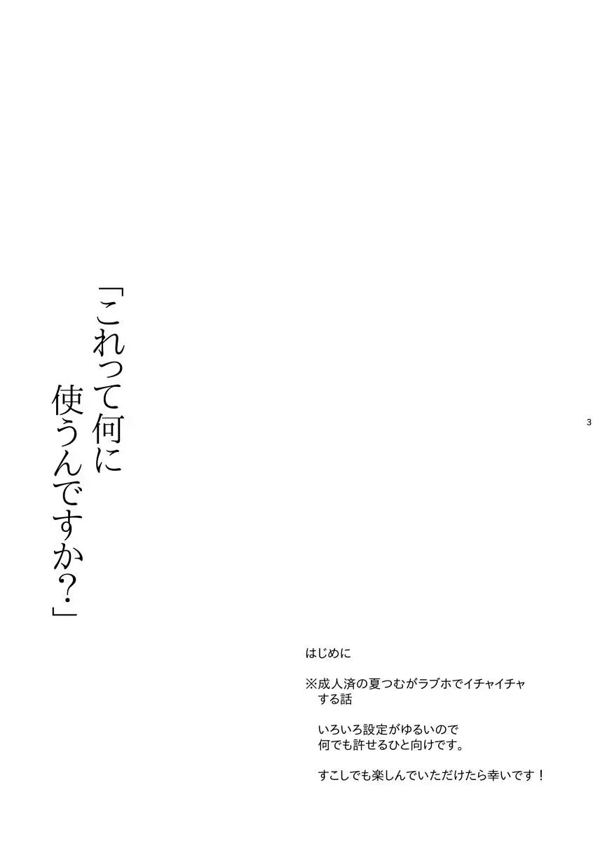 これって何に使うんですか？ 2ページ