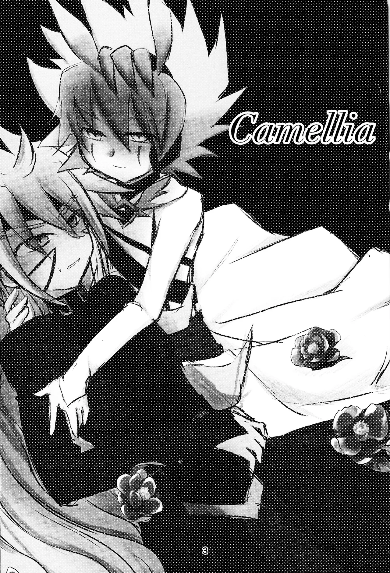 Camellia 2ページ