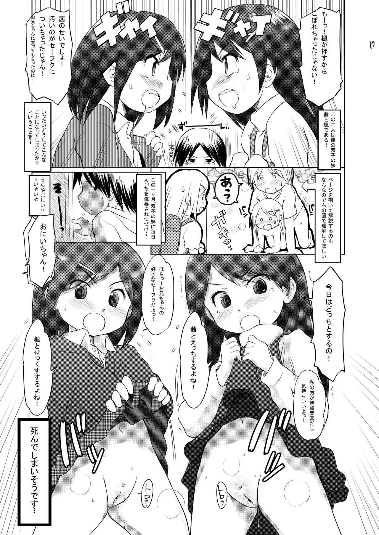 FTTH1/2/ゆあがる・DLぱっく 17ページ