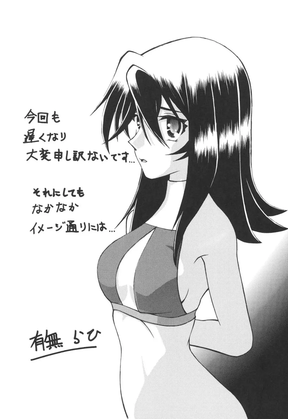 沙雪の里 333ページ