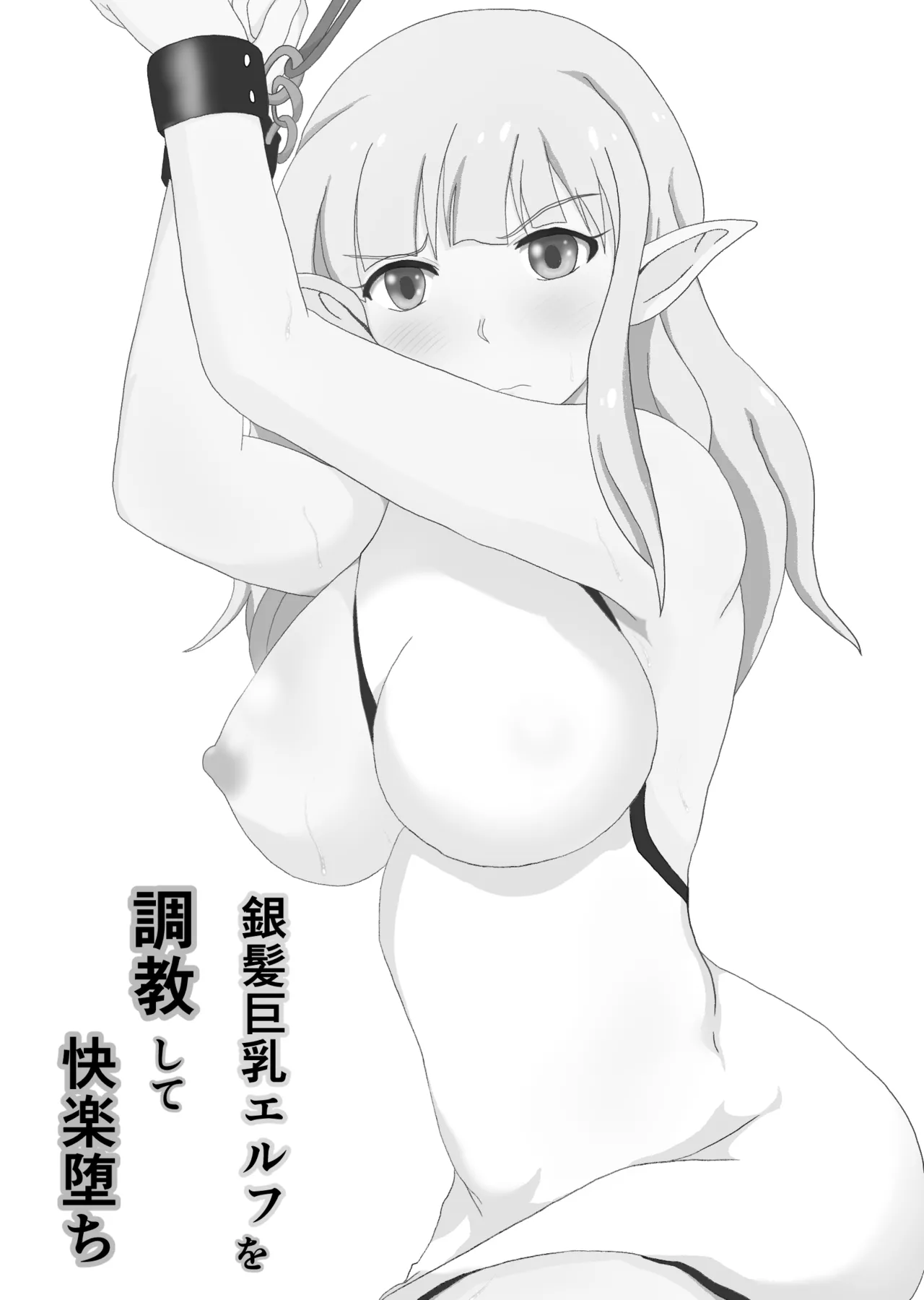 銀髪巨乳エルフを調教して快楽堕ち 2ページ