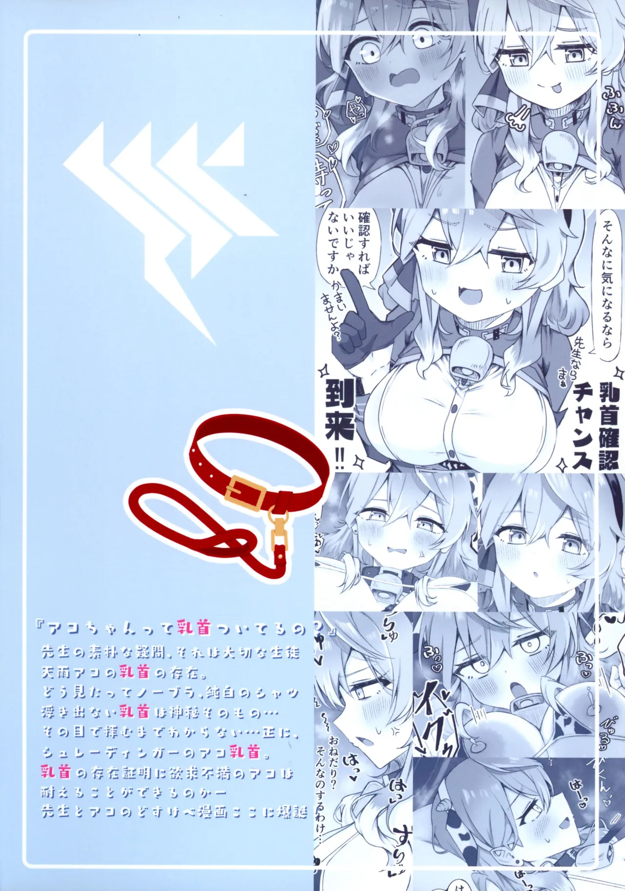 アコちゃんって乳首ついてるの? 2ページ