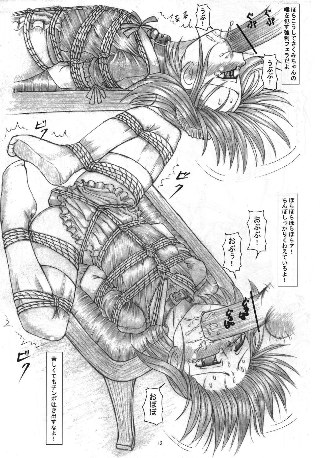 さくみの拡張遊戯 総集編 12ページ