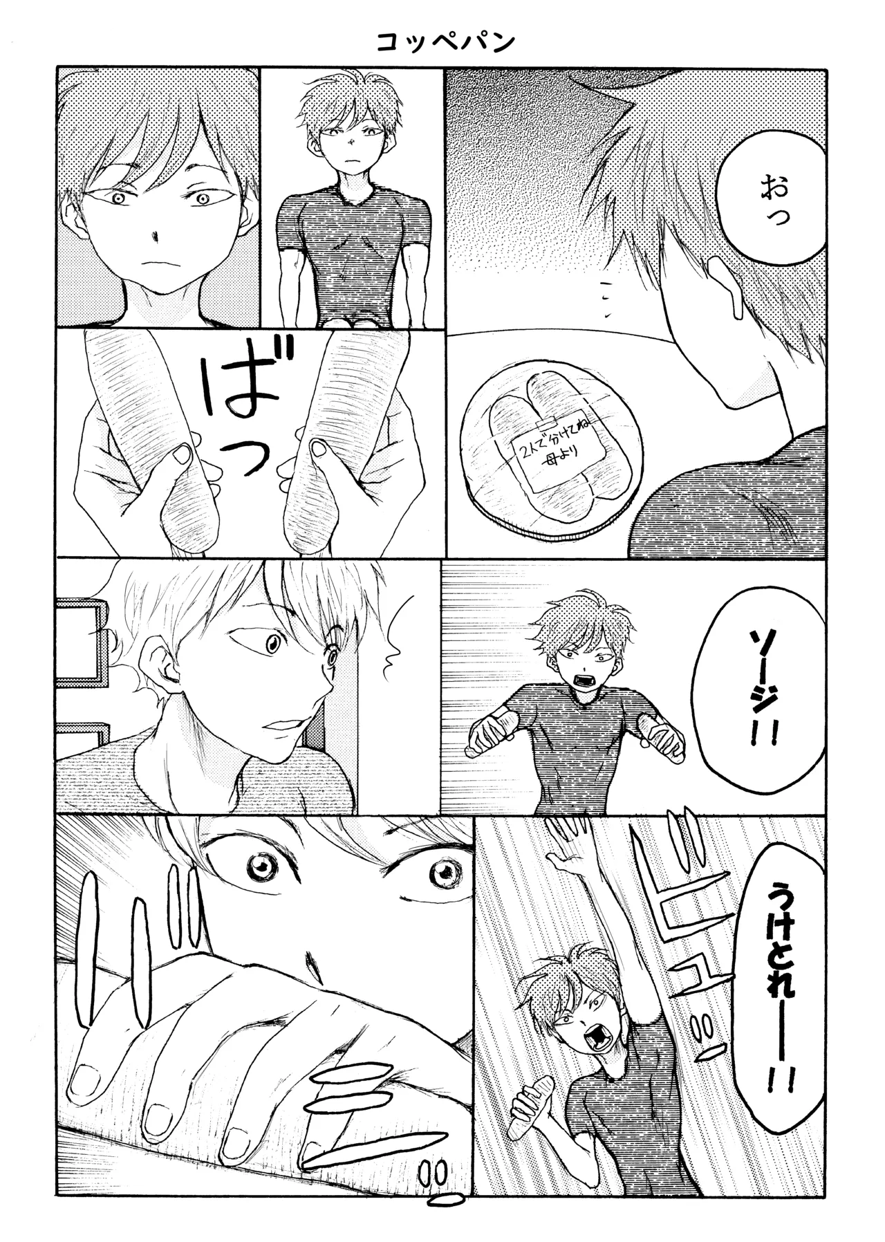 ホモ☆双生児 19ページ