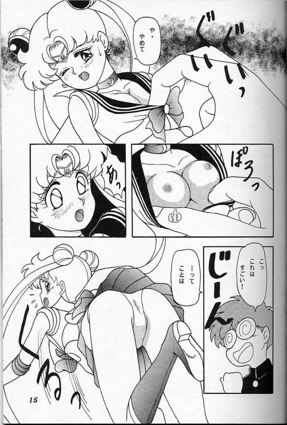 LUNCH BOX 6 USAGI 14ページ