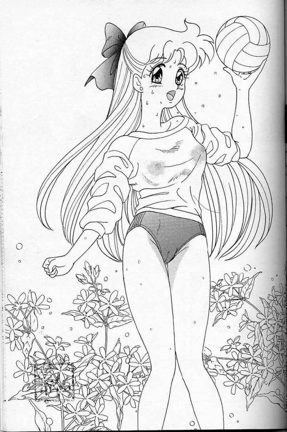 LUNCH BOX 6 USAGI 38ページ
