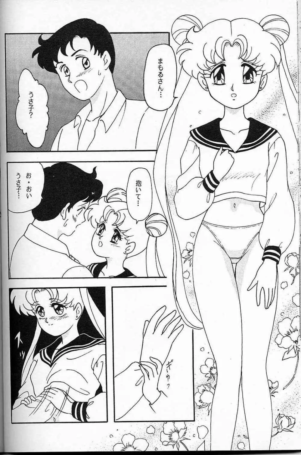 LUNCH BOX 6 USAGI 39ページ