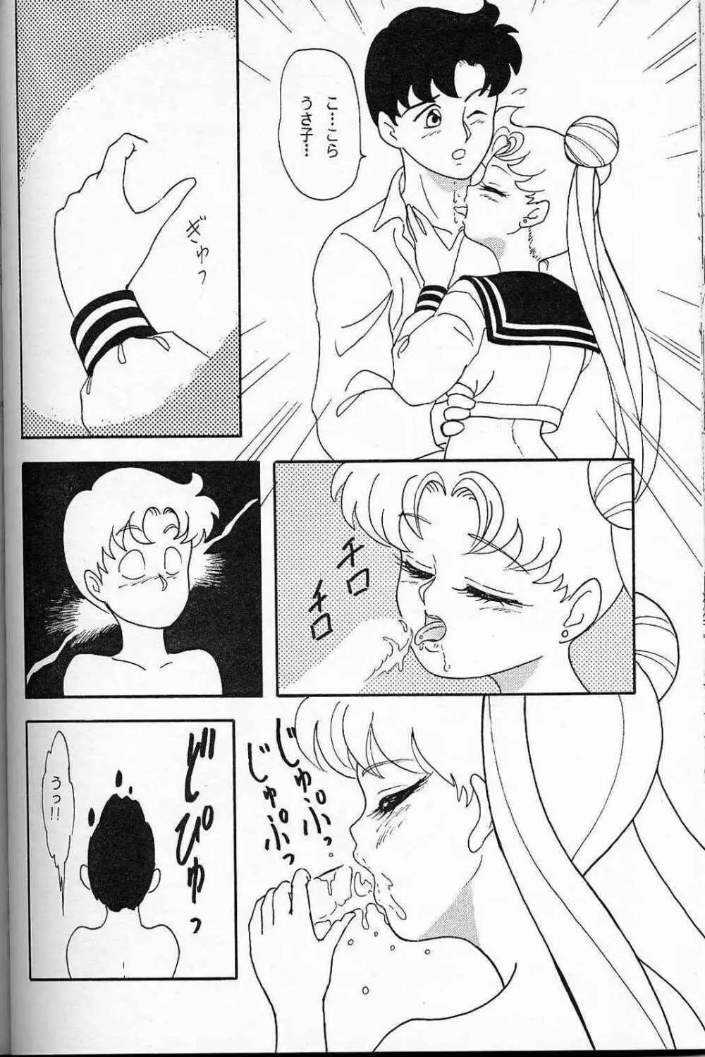 LUNCH BOX 6 USAGI 41ページ