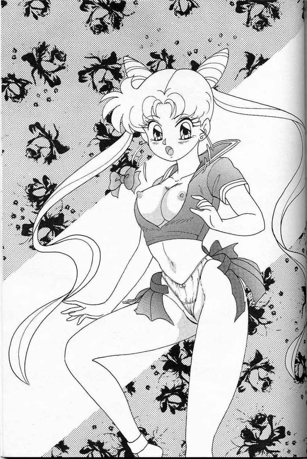 LUNCH BOX 6 USAGI 50ページ