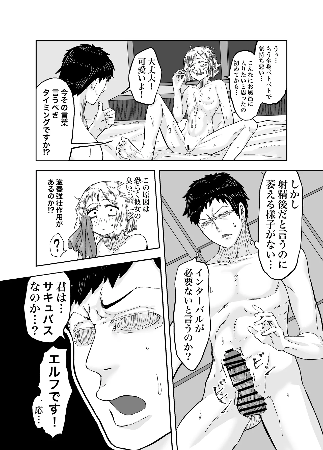 風呂嫌いな地味顔エルフの娼婦を騙して嫁にする 12ページ