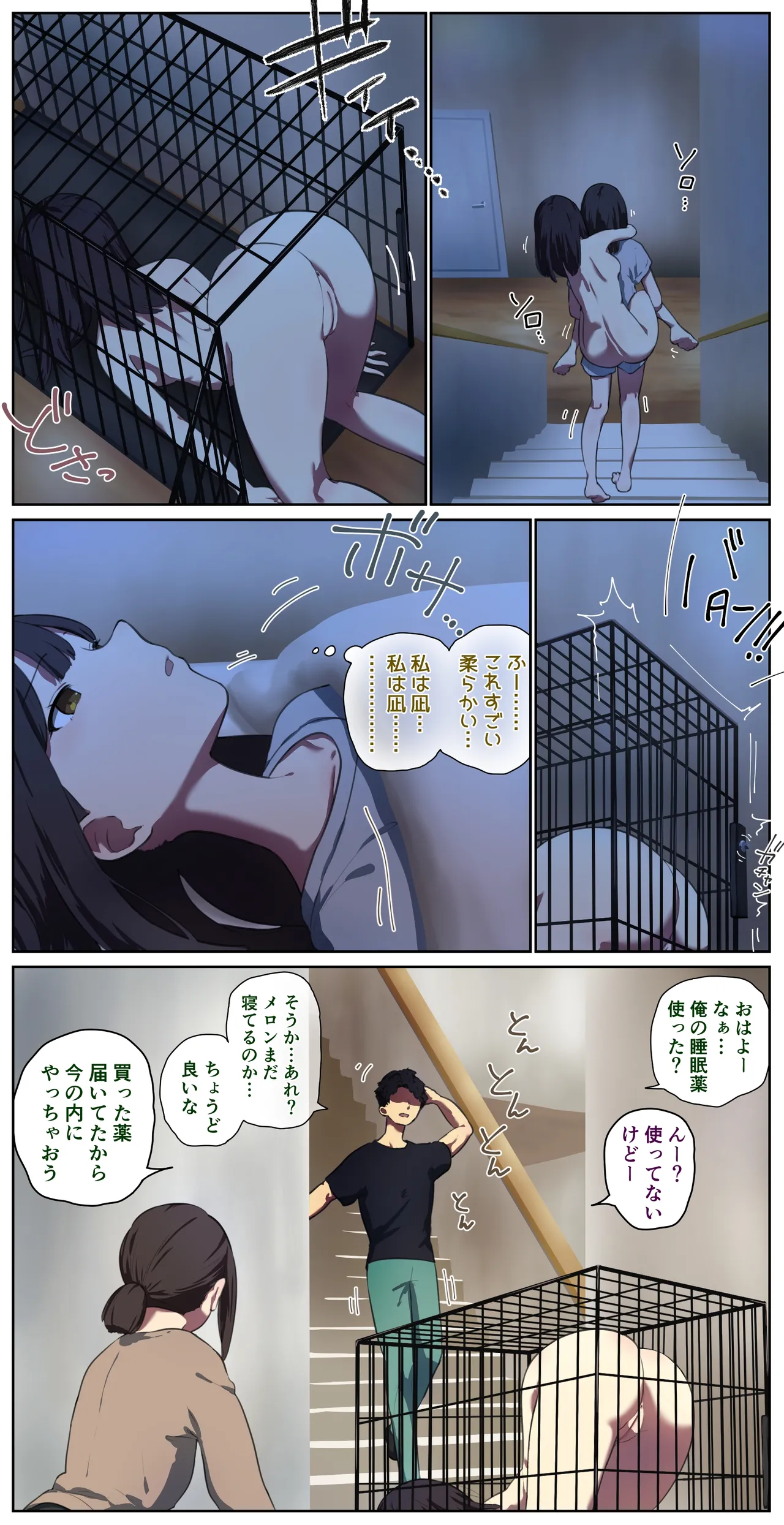 ペット人畜のいる家 4ページ