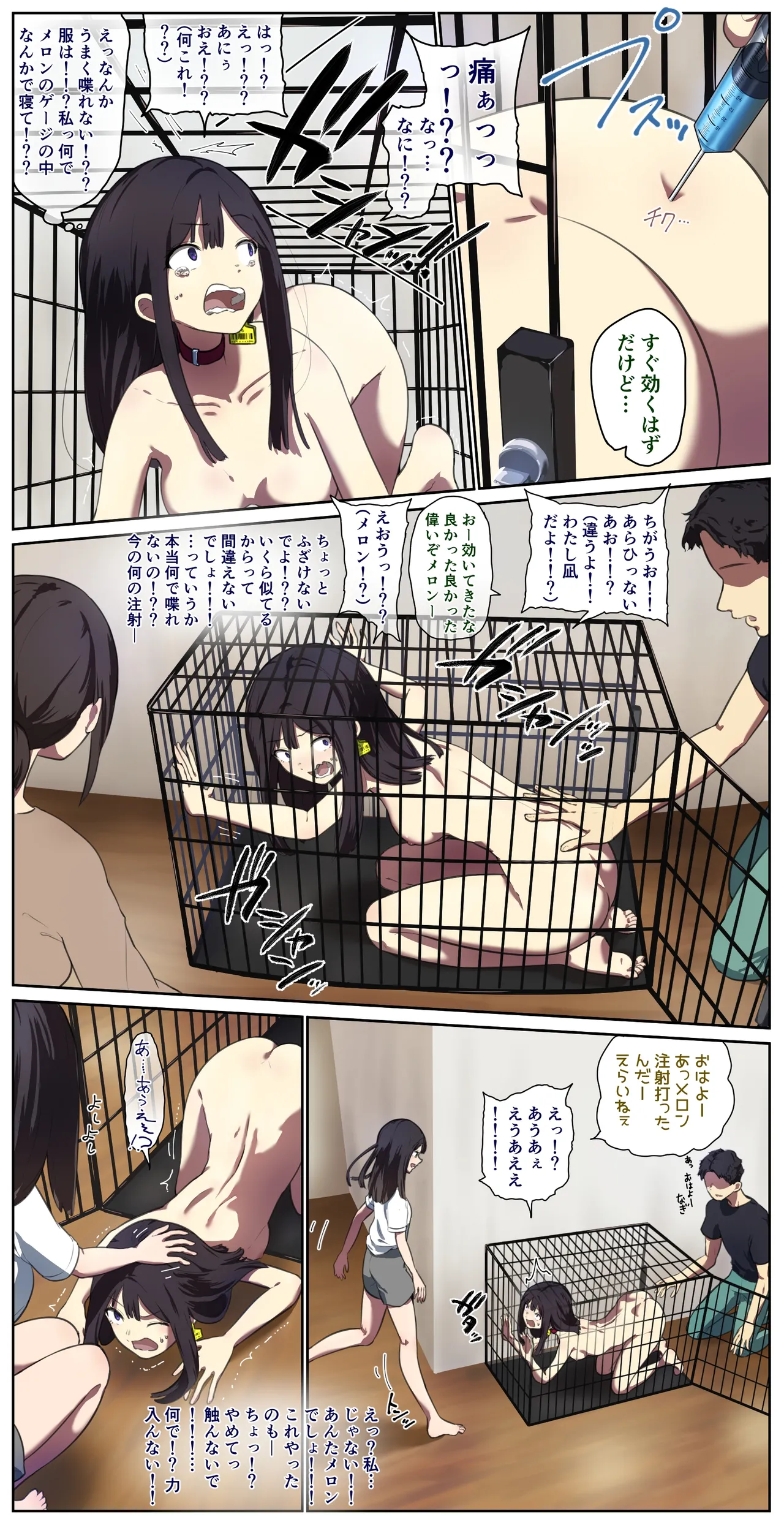ペット人畜のいる家 5ページ