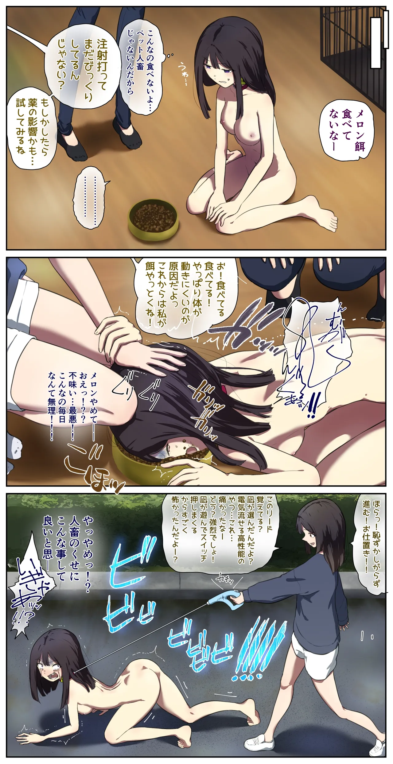 ペット人畜のいる家 6ページ